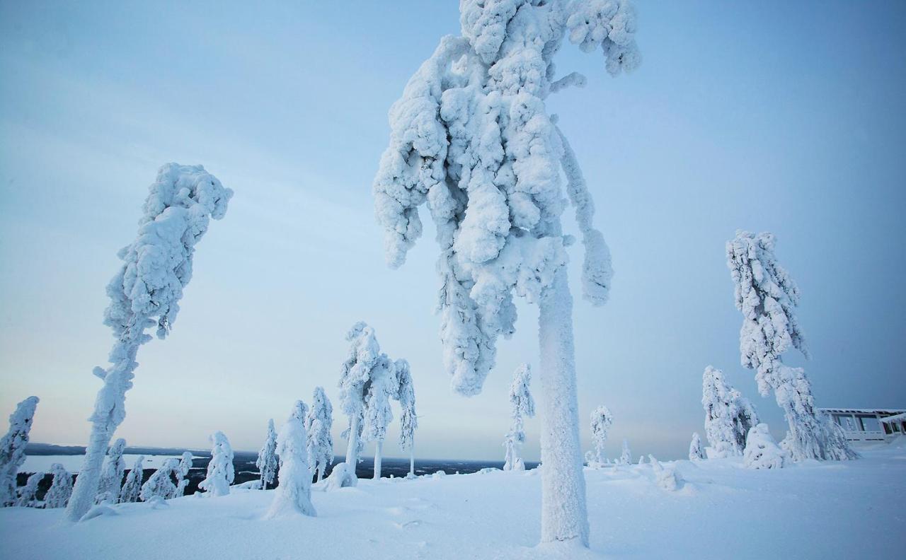 Arctic Giant Aparthotel Paltamo Luaran gambar